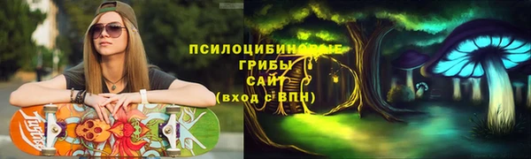 крисы Алзамай