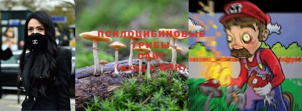 бошки Алексеевка